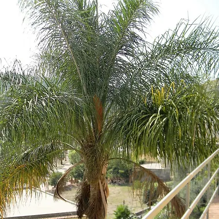 Nti Nzulidda