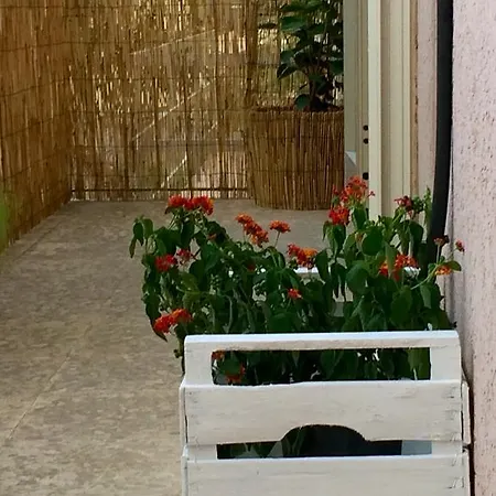 Nti Nzulidda Apartamento *